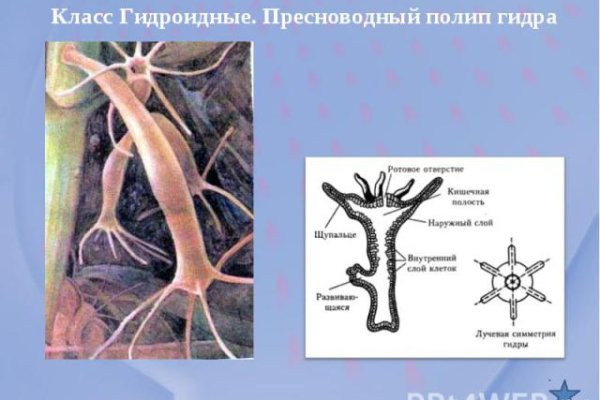 Кракен сайт ссылка kr2web in