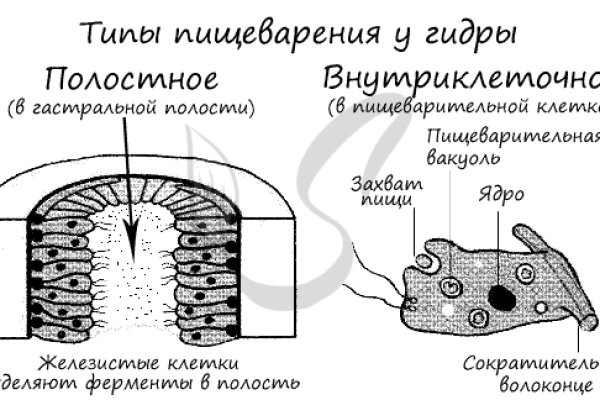 Кракен ссылка официальная на тор