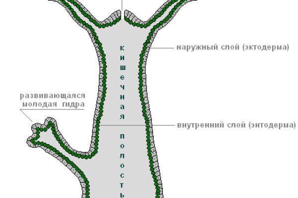 Кракен маркетплейс зеркало krk market com