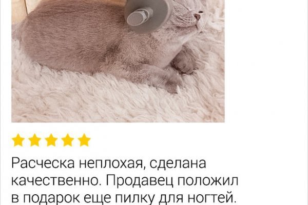 Ссылки тор браузер