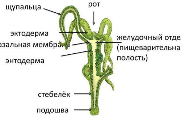 Как зайти на кракен тор