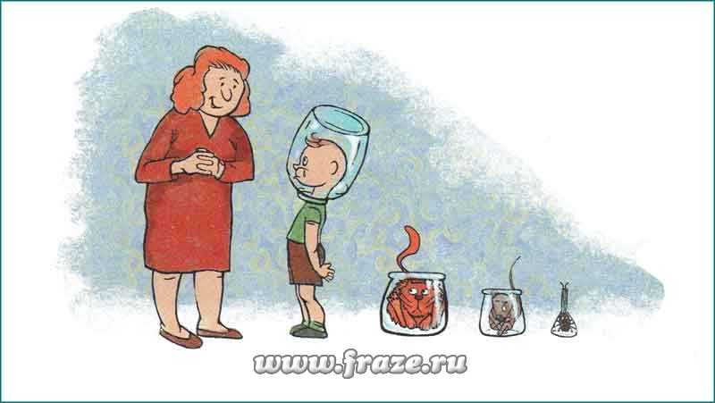 Kraken clear ссылка
