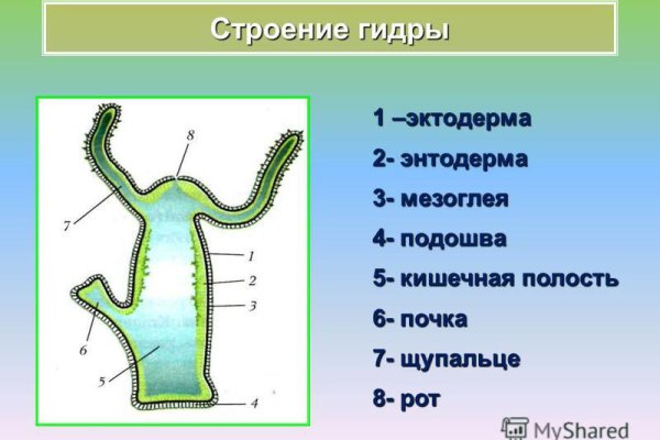 Ссылка на кракен 2krnmarket